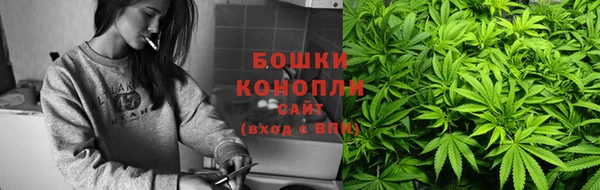 ECSTASY Белокуриха