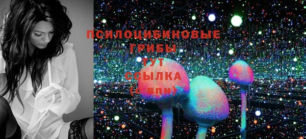 ECSTASY Белокуриха