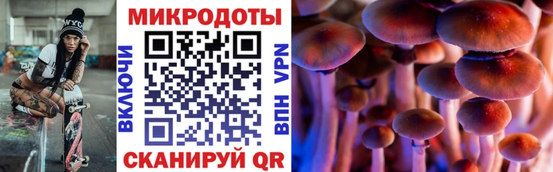 Галлюциногенные грибы мицелий цена наркотик Топки