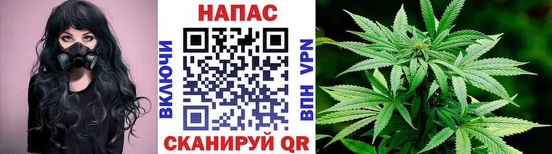 наркотики  Топки  Бошки Шишки семена 